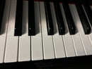 Boston GP156PE Grand Piano